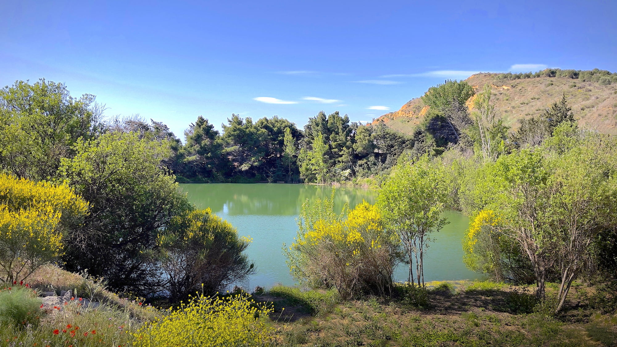 Le Petit Lac Restaurant Narbonne - Vue du lac