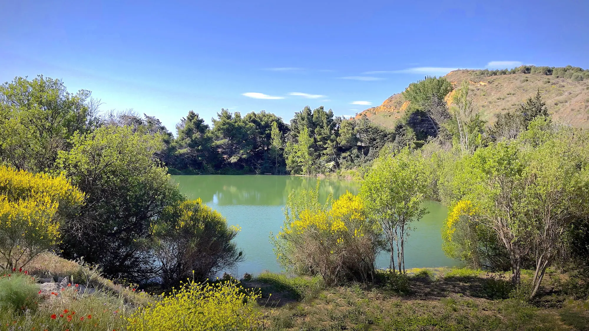 Le Petit Lac Restaurant Narbonne - Vue du lac